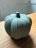 Teal textured pumpkin on a wooden surface with a white wall background