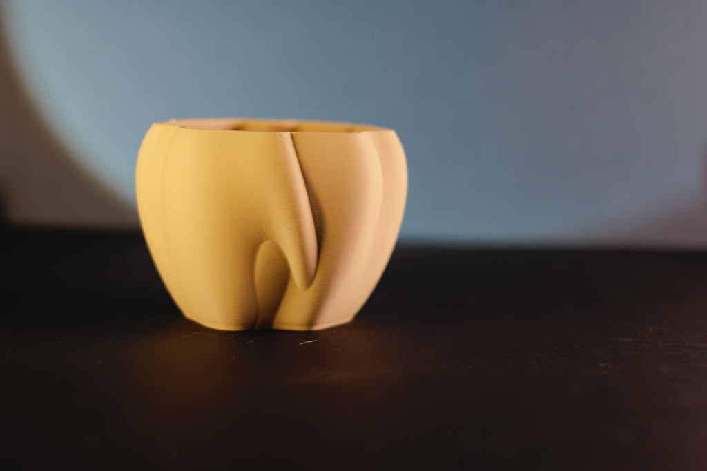 Organic Flow Planter