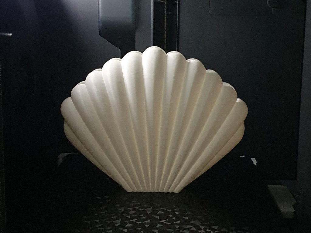 Shell-shaped light fixture on a dark background