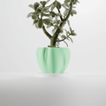 Organic Flow Planter