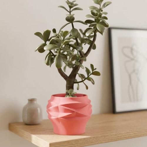 Potted plant in a pink pot on a wooden shelf with a neutral background