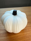 White pumpkin with a black stem on a wooden surface